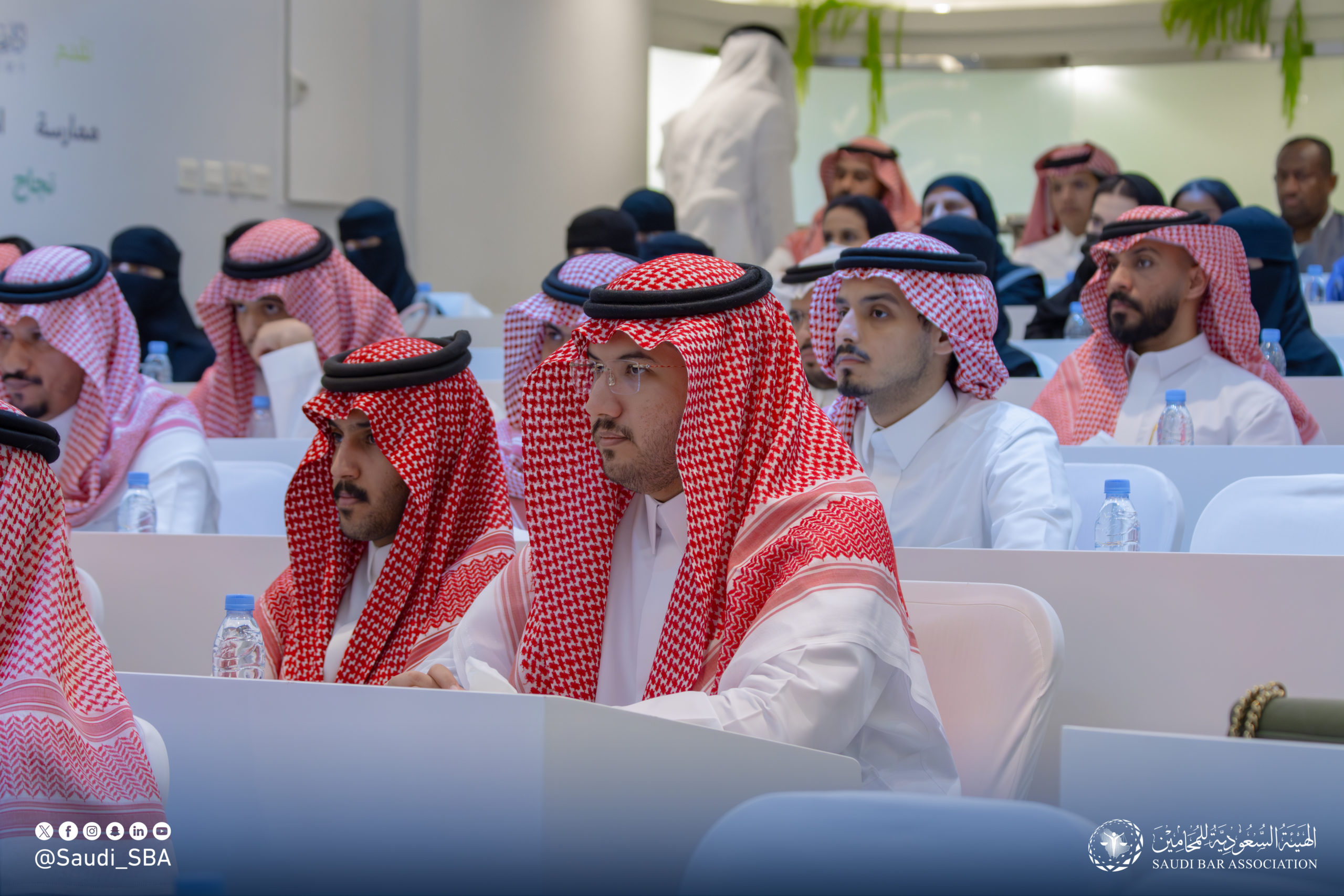 IMG_7266-Enhanced-NR