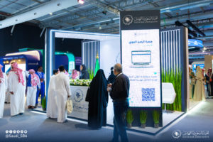 272A3782-Enhanced-NR