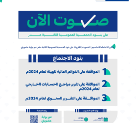 (صوت-الان)-الجمعية-العمومية-الثانية-عشر (1)