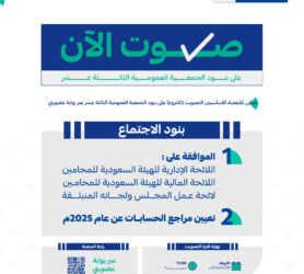 الجمعية-العمومية-االثالثة-عشر-منشور-التصويت